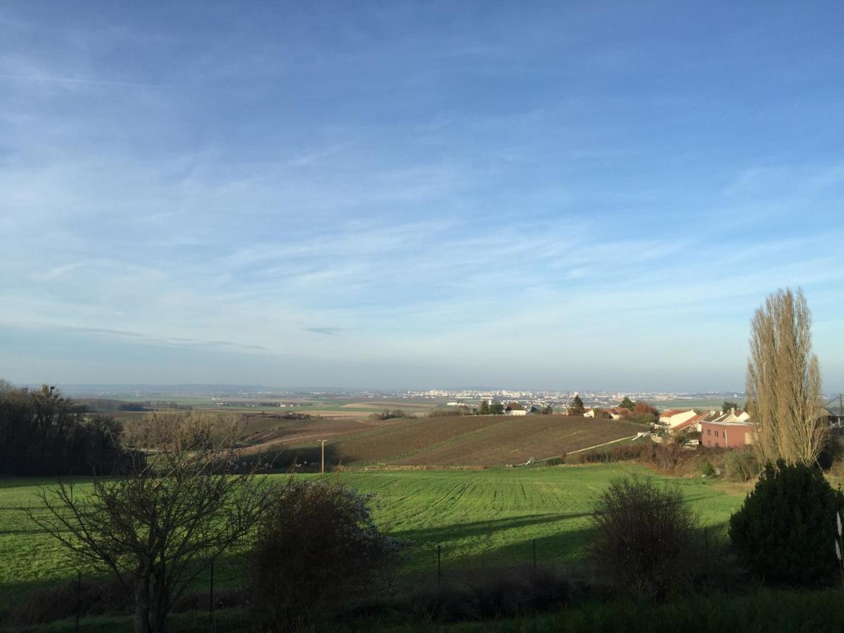 Villa Reims Epernay Champagne Vineyard Villers-Allerand Ngoại thất bức ảnh