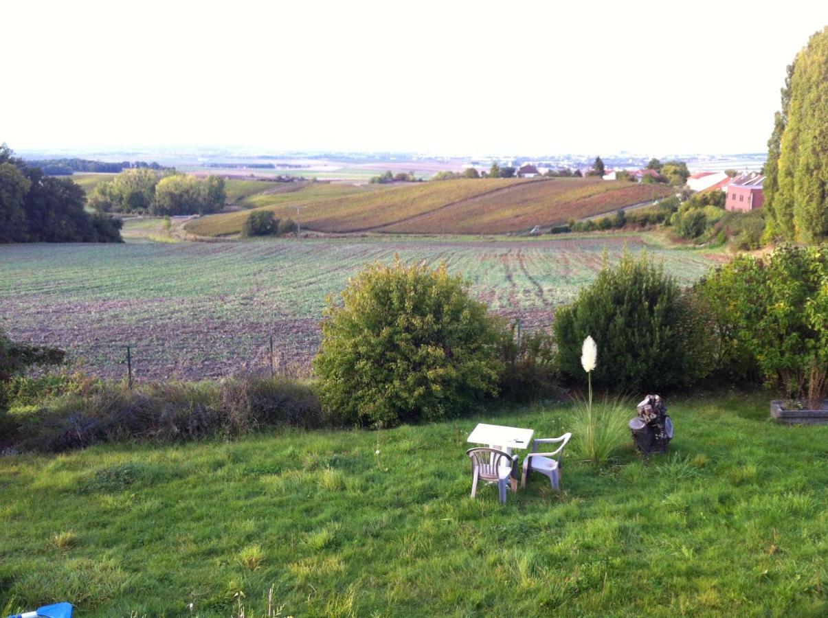 Villa Reims Epernay Champagne Vineyard Villers-Allerand Ngoại thất bức ảnh